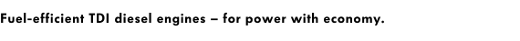 Fuel-efficient TDI diesel engines – for power with economy.